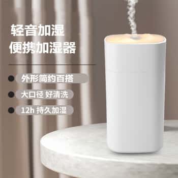 Laisence实用小礼品加湿器迷你卧室家用车载办公桌面生日礼物中秋节礼物女生送女友女朋友闺蜜员工伴手礼四方雪山白色【插电版】	